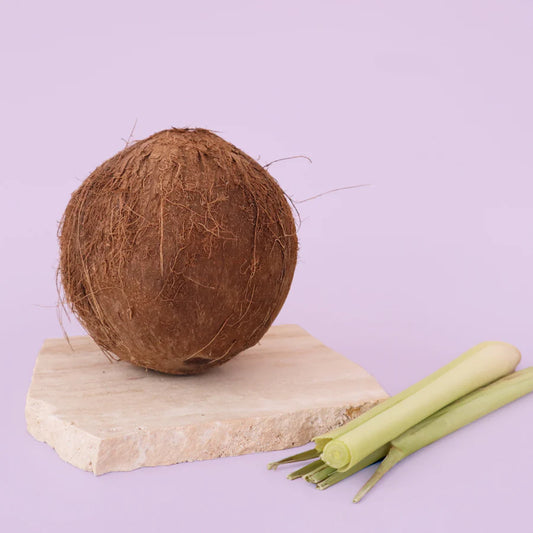 Coconut & Lemongrass Refill
