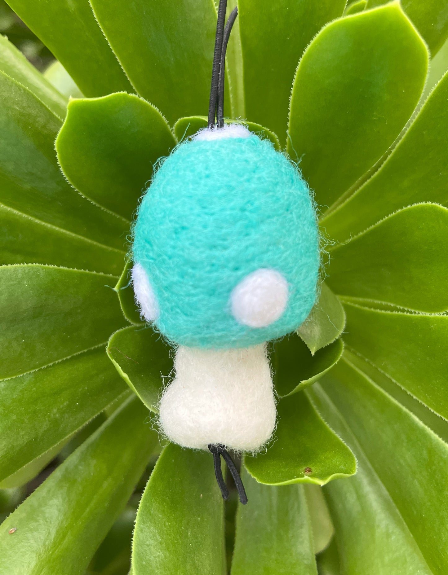 MushieZ - Duck Egg Blue